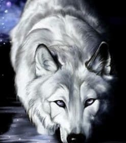 Majestic Arctic Wolf Paint By Numbers