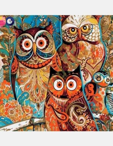 Colorful Owl Birds Paint By Numbers