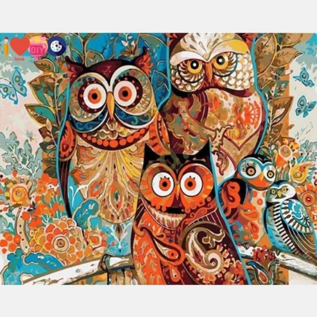 Colorful Owl Birds Paint By Numbers