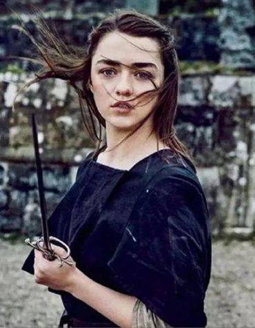 Arya Stark Game of Thrones Paint By Numbers