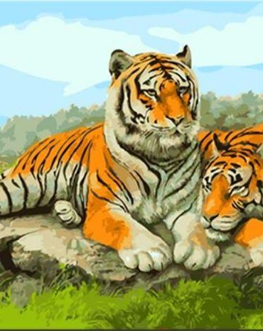 Malayan Tiger Wildlife Paint By Numbers