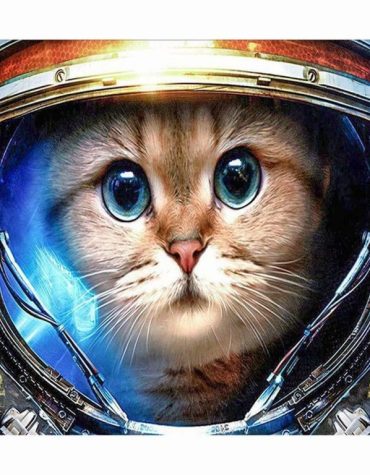 Astronaut Cat Paint By Numbers