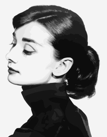 Audrey Hepburn Celebrity Paint By Numbers