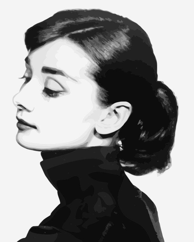 Audrey Hepburn Celebrity Paint By Numbers