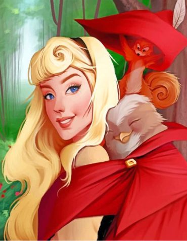 Aurora Princess Magic Paint By Numbers