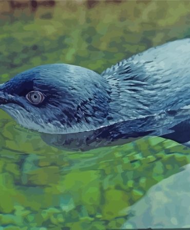 Australian Fairy Penguin Water Paint By Numbers