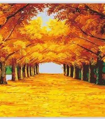 Forest Frame Landscape Paint By Numbers