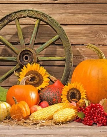 Paint Vibrant Autumn Pumpkins By Numbers