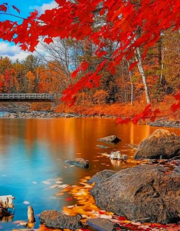 Autumn Forest Landscapes Paint By Numbers