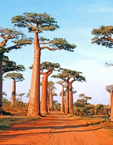Avenue of the Majestic Baobabs Paint By Numbers