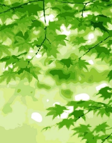 Serene Green Landscape Paint By Numbers