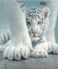 Baby White Tiger Art Kit Paint By Numbers