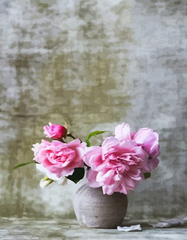 Pink Floral Beauty Paint By Numbers