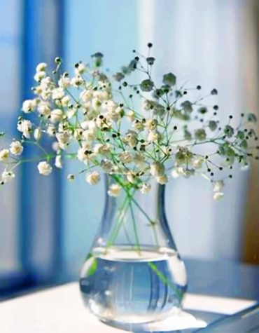 Baby's Breath Glass Vase Paint By Numbers