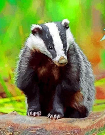 Forest Badger Paint By Numbers