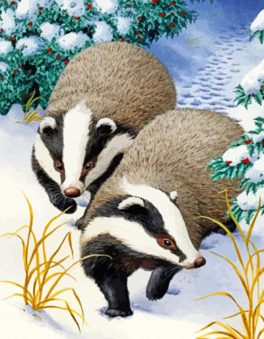 Winter Badger Scene Paint By Numbers