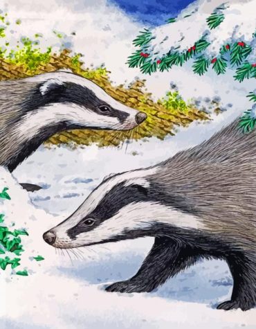 Snowy Badger Paint By Numbers