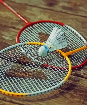 Badminton Equipment Collection Paint By Numbers