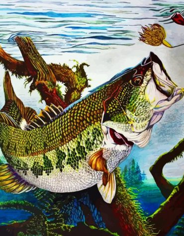 Bass Fish Underwater Adventure Paint By Numbers