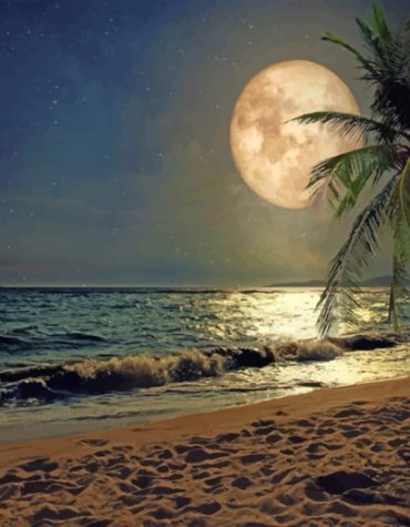 Beach Moonlit Seascape Paint By Numbers
