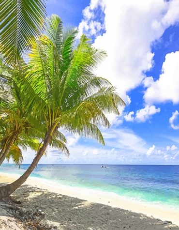 Beachside Vistas Paint By Numbers