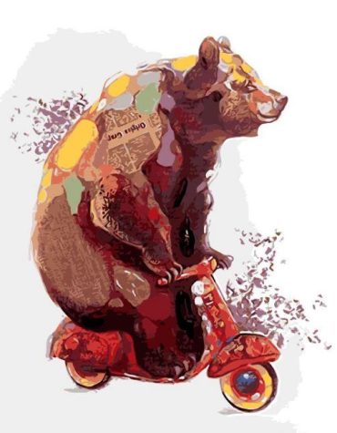 Bear On Bike Paint By Numbers