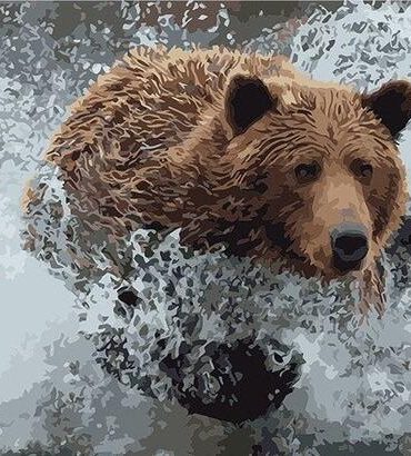 Grizzly Bear Paint By Numbers