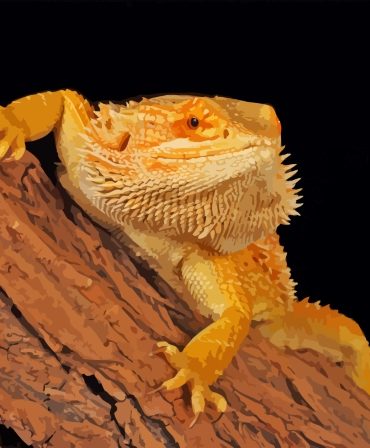 Bearded Dragon Reptile Paint By Numbers