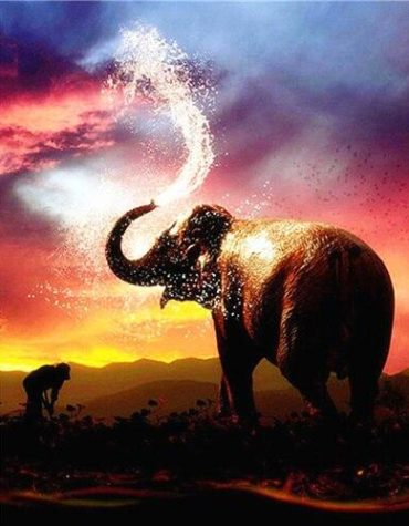 Elephant Sunset Painting Experience Paint By Numbers