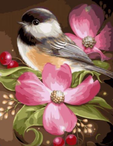 Pink Flowers and Birds Paint By Numbers