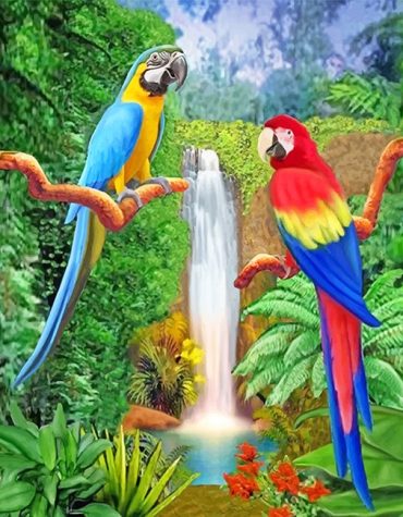 Colorful Parrots Paint By Numbers