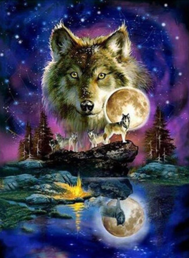 Majestic Wolf Scene Paint By Numbers