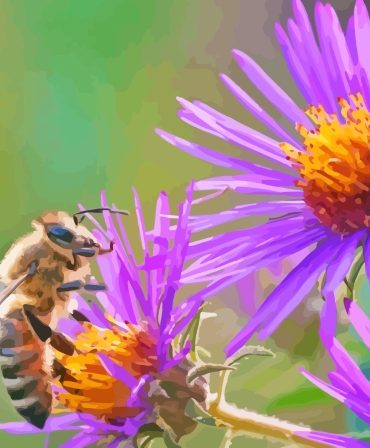 Purple Bee and Flowers Paint By Numbers