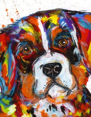 Bernese Mountain Dog Animal Paint By Numbers