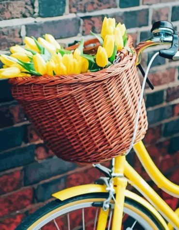 Bicycle Tulips Scene Paint By Numbers