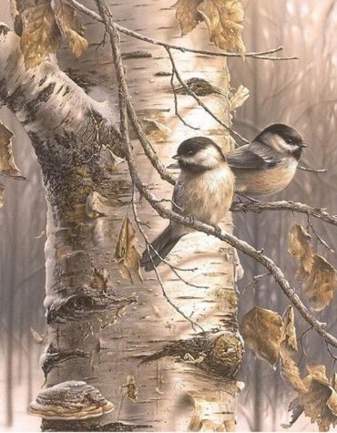 Birch Tree Birds Paint By Numbers