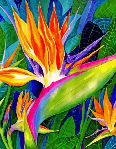 Bird Of Paradise Flower Paint By Numbers