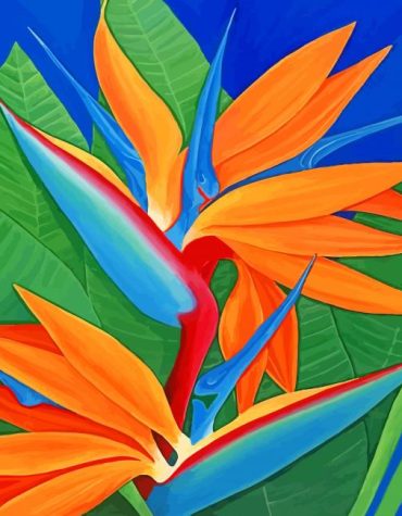 Bird Of Paradise Flower Paint By Numbers