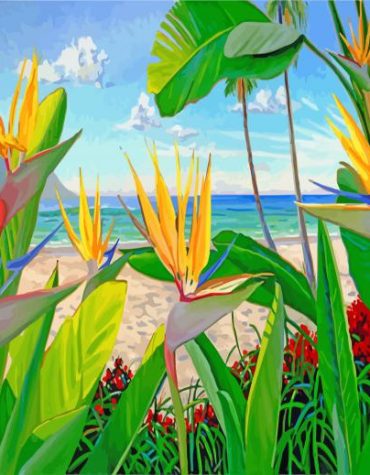 Bird Of Paradise Paint By Numbers