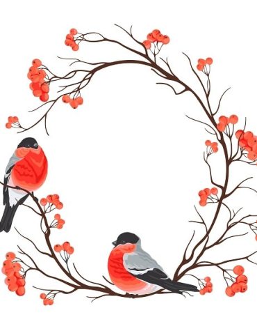 Bird On Branch Paint By Numbers