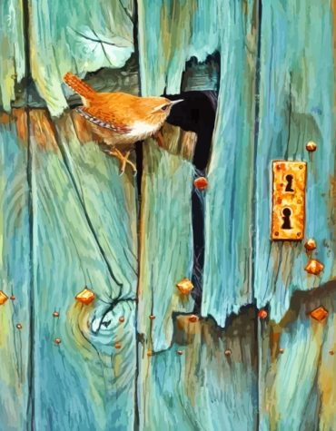 Colorful Birds on Doorway Paint By Numbers