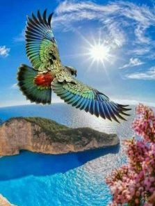 Birds Over Ocean Paint By Numbers