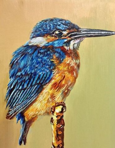 Kingfisher Bird Paint By Numbers