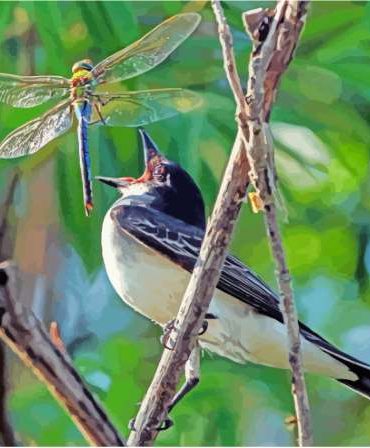 Bird and Dragonfly Paint By Numbers