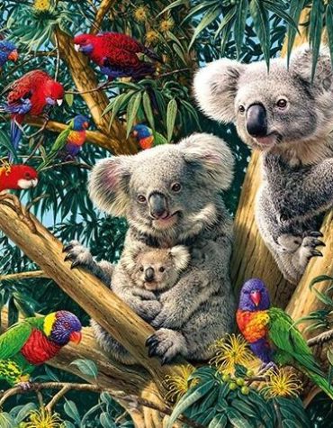 Birds and Koalas Nature Paint By Numbers