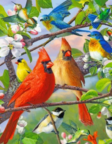 Bluebirds and Cardinals Paint By Numbers