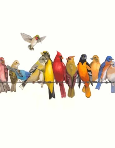 Colorful Birds on Wire Paint By Numbers