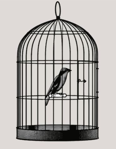 Monochrome Caged Bird Paint By Numbers