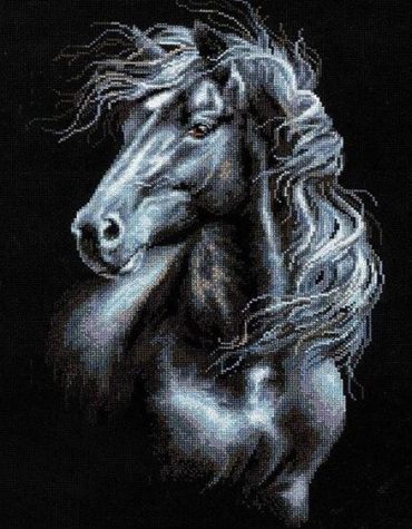 Black and White Stallion Paint By Numbers