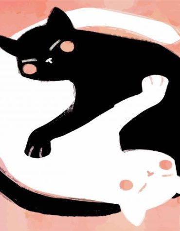 Black and White Feline Balance Paint By Numbers